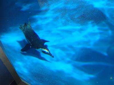 DSC02864a.jpg