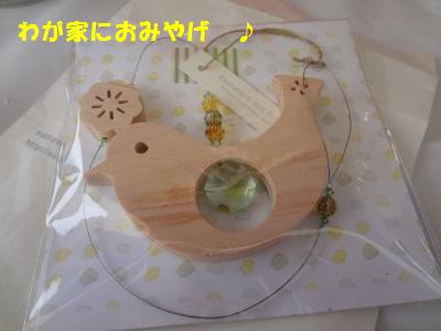 DSC03131a.jpg