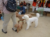 DSC03143a.jpg