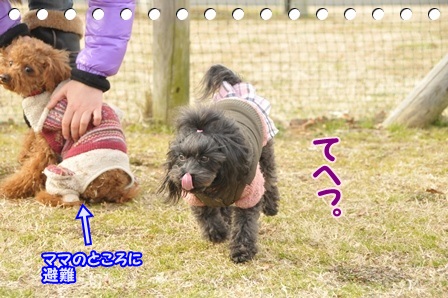 てへりこ