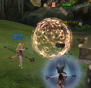 hatsusakura5.png