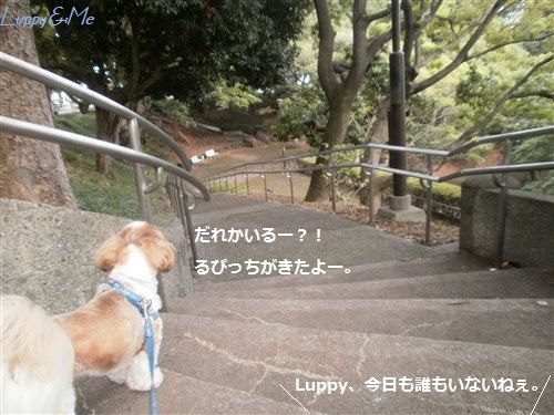 だれかいるー?