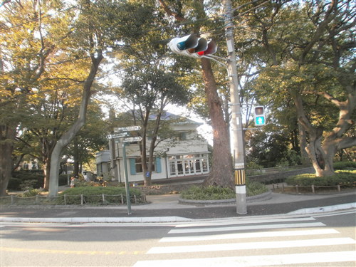 山手本通り