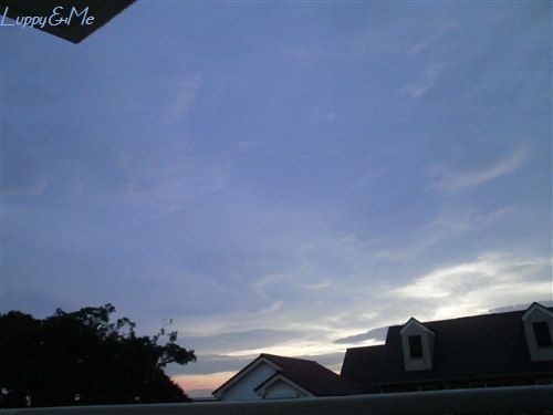 夕日