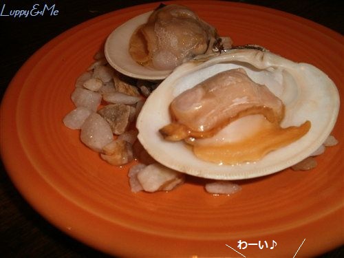 蛤の炭火焼