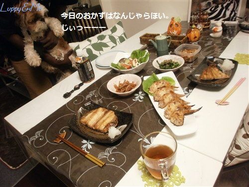 ご飯1