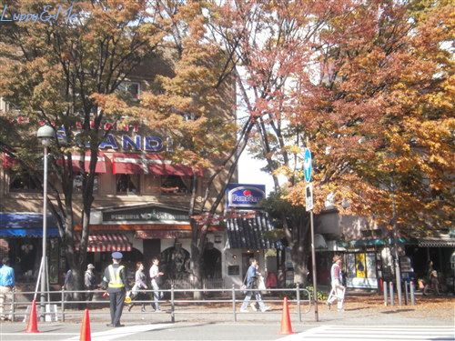 スカンディアガーデン
