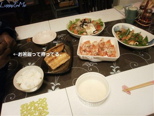 おなかすいた
