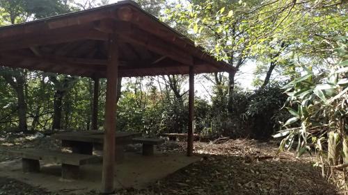 kinoko-top_convert_20141011210607.jpg