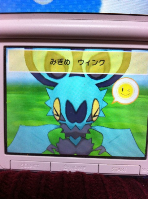 オンバット