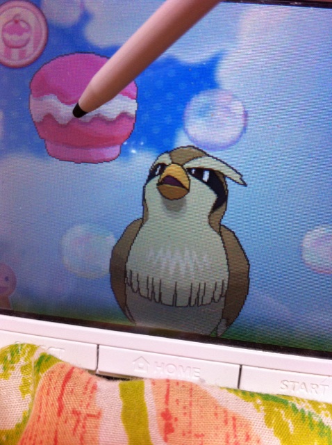 ポッポ