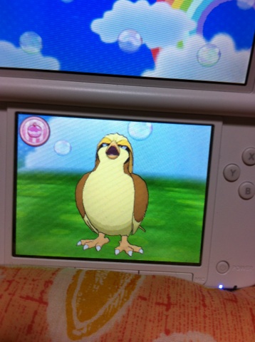 ピジョット