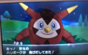ハリボーグ