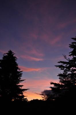 お部屋からの夕焼け