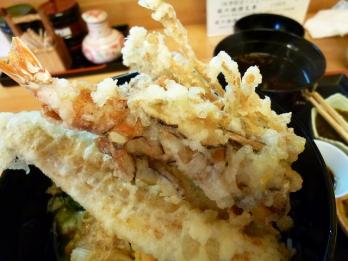 みの揚げなど