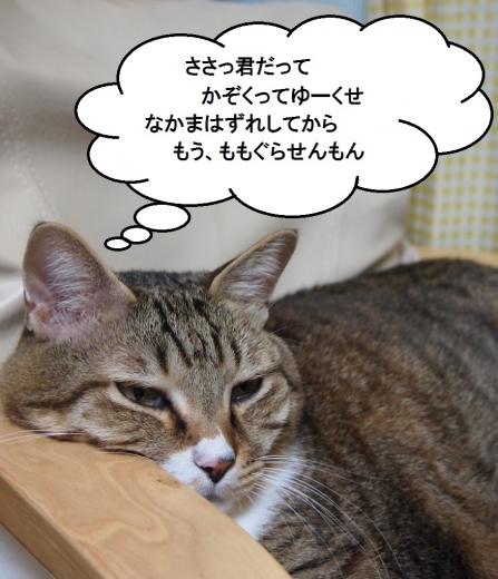 ささっちゃん部長