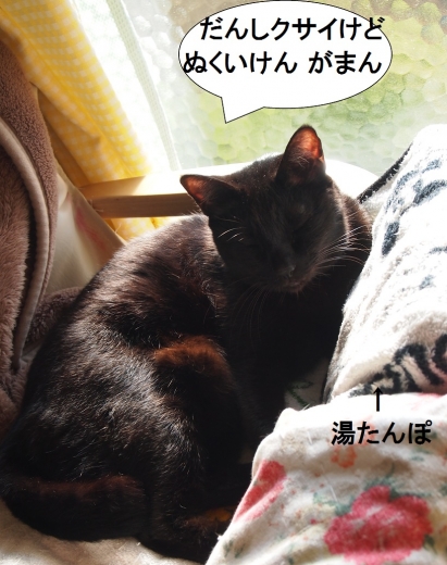 きなっちゃん社長