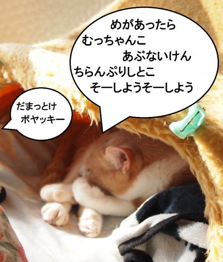 雲丹専務