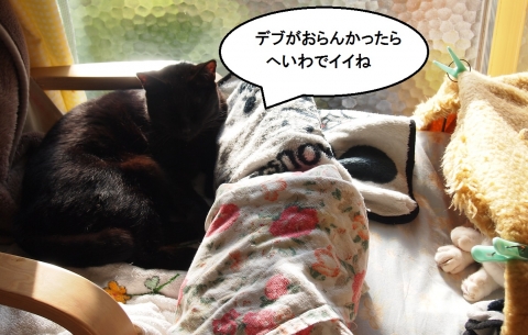 きなっちゃん社長&雲丹専務