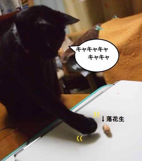 きなっちゃん社長