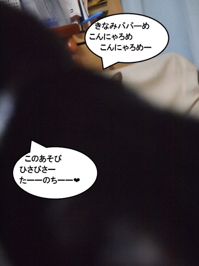きなっちゃん社長