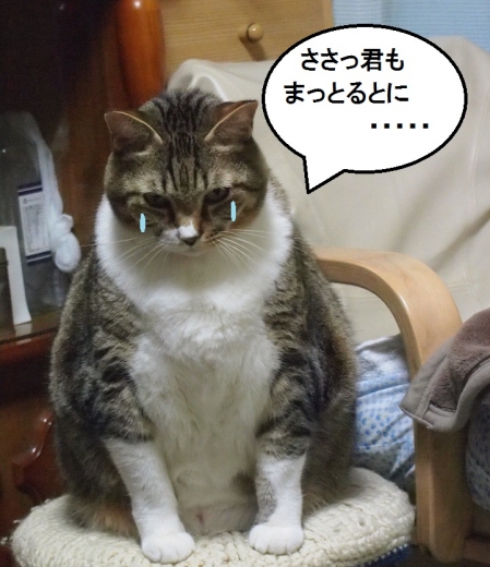 ささっちゃん部長