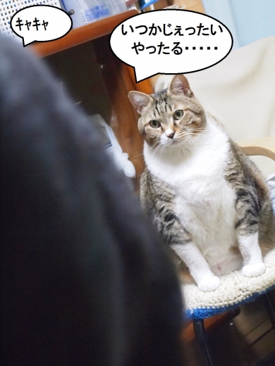 ささっちゃん部長