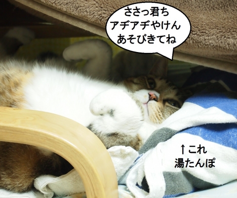 ささっちゃん部長
