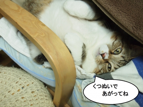 ささっちゃん部長