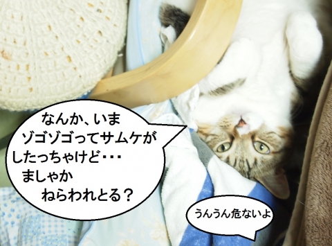 ささっちゃん部長