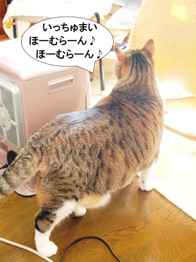 ささっちゃん部長