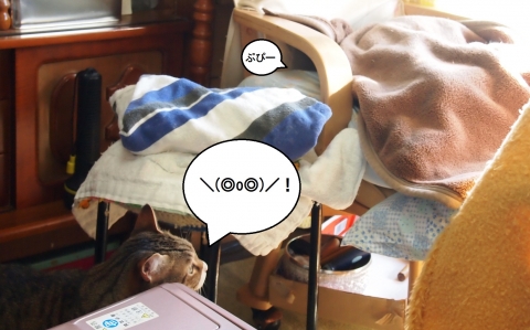 ささっちゃん部長