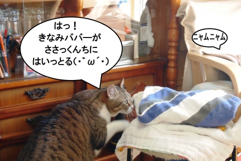 ささっちゃん部長
