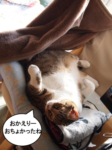 ささっちゃん部長