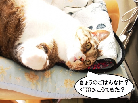 ささっちゃん部長
