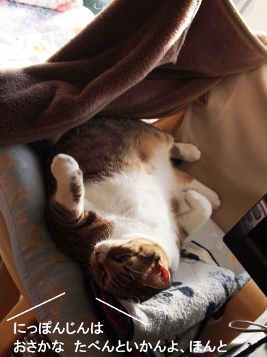 ささっちゃん部長