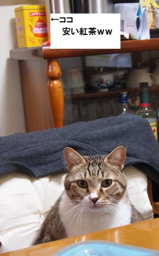 ささっちゃん部長