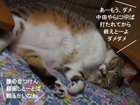 ささっちゃん部長