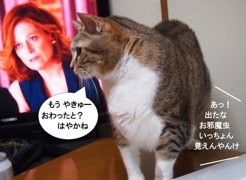 ささっちゃん部長