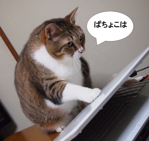 ささっちゃん部長