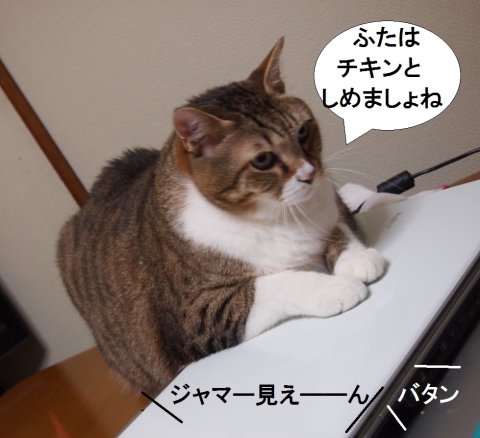 ささっちゃん部長