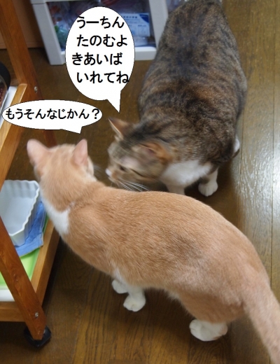 雲丹専務&ささっちゃん部長