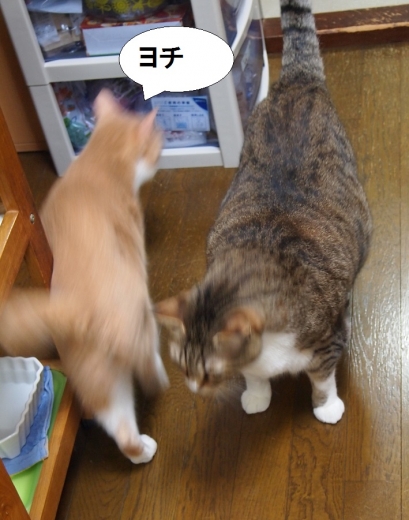雲丹専務&ささっちゃん部長
