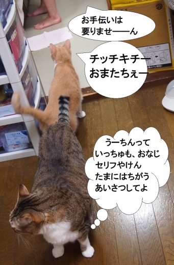雲丹専務&ささっちゃん部長