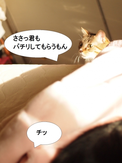 ささっちゃん部長