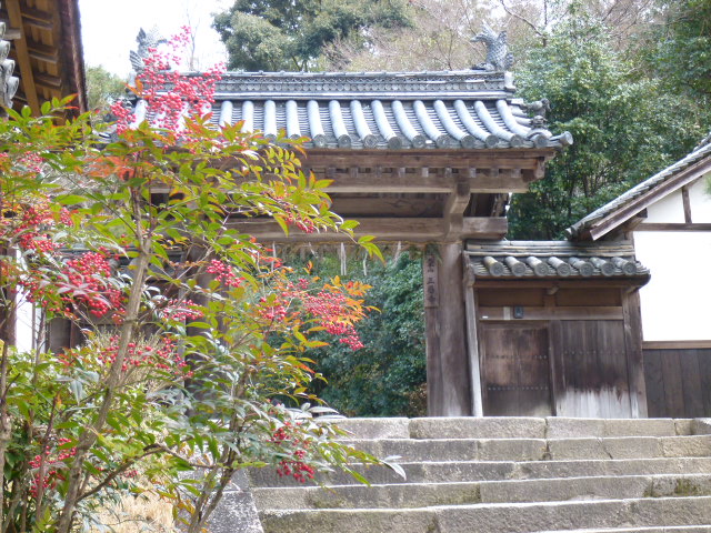 P1140943.jpg