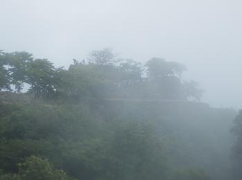 P6150015_convert_20130716183509.jpg