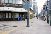 DSC01341.jpg