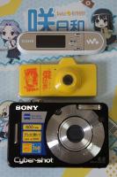 DSC02993.jpg