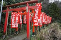 DSC03042.jpg